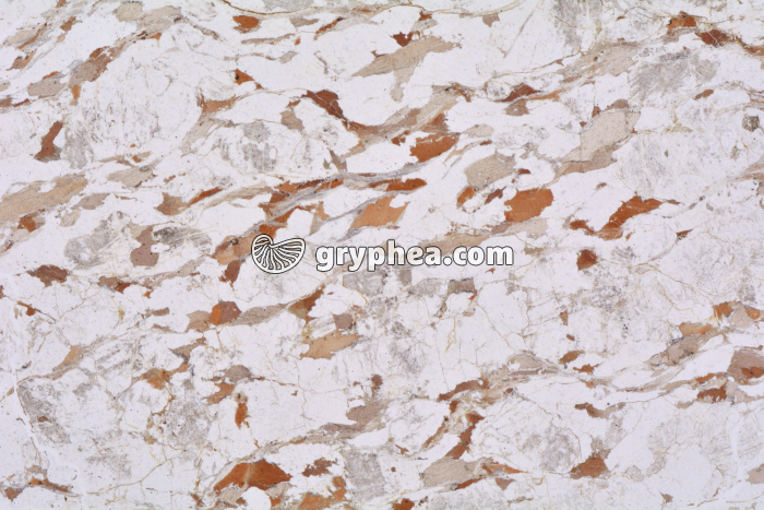 Gneiss LPNA x3,5 - gryphea.com